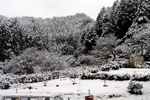 越生の水