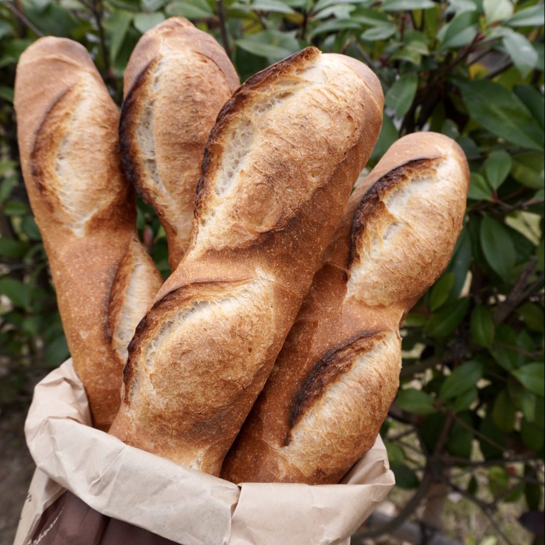 フランスパン