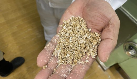 栃木・笠原産業さん 製粉工場訪問【2024年12月】